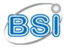 BSI Logo
